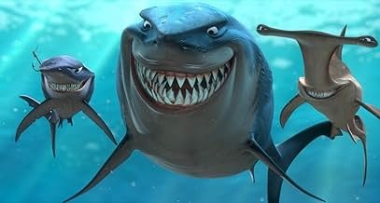 Finding Nemo Finding Nemo